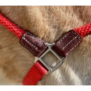EcoLine Hybrid Halfter mit Strick rot