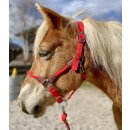 EcoLine Hybrid Halfter mit Strick rot