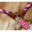 EcoLine Hybrid Halfter mit Strick pink