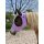 Comfort Fit Fliegenmaske „Orchid“ mit Ohrenschutz – Professional’s Choice