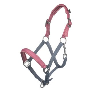 HKM Halfter Barnie – Rauchblau/Pink – Shetty