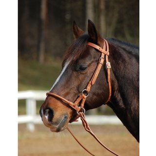 BUSSE Sidepull Harness Pony