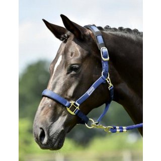 BUSSE Halfter TOUGH navy Pony