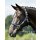 BUSSE Halfter TOUGH navy Pony