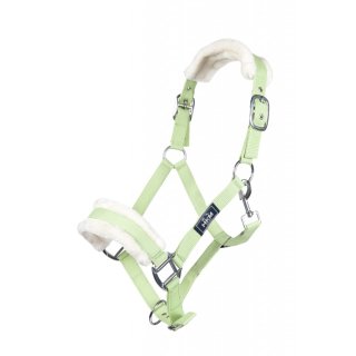 HKM Halfter Bischofshofen lime