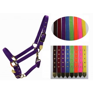 Deluxe Pferdehalfter Gr. M Cob verstellbar robust Messingbeschläge Stallhalfter