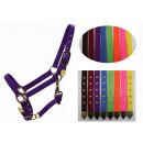 Deluxe Pferdehalfter Gr. M Cob verstellbar robust...
