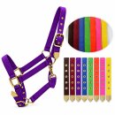 Pferdehalfter M Cob Vollblut – robustes Deluxe...