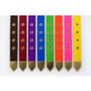 Pferdehalfter M Cob Vollblut – robustes Deluxe Halfter in 7 Farben