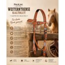 ProLine Westerntrense Kaltblut RAWHIDE BRAIDED –...