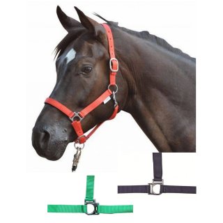 HKM Halfter STARS Kaltblut