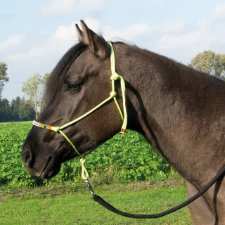 BUSSE Knotenhalfter BEADS