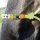 BUSSE Knotenhalfter BEADS